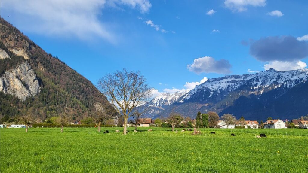 Lazy Rancho Interlaken: 2 Campingplätze mit Jungfrau-Blick 6 Ausblick Richtung Unterseen Interlaken