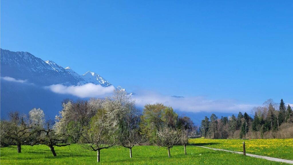 Lazy Rancho Interlaken: 2 Campingplätze mit Jungfrau-Blick 7 Ausblick Richtung Thunersee vom Lazy Rancho aus
