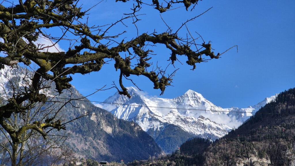 Lazy Rancho Interlaken: 2 Campingplätze mit Jungfrau-Blick 26 Eiger, Mönch und Jungfrau über dem Lazy Rancho