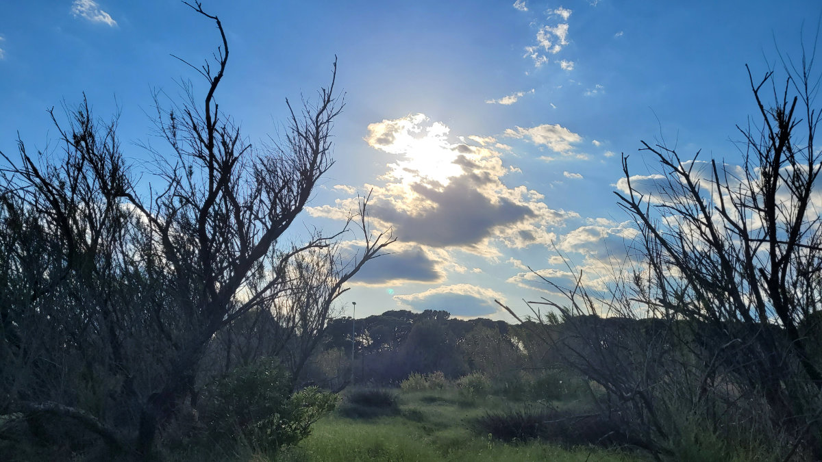 Landschaft und Natur rund um Camping El Molino an der Costa Brava