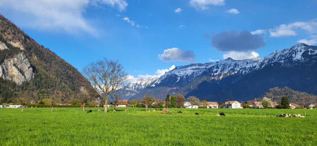Lazy Rancho Interlaken: 2 Campingplätze mit Jungfrau-Blick 17 LazyRancho Aussicht