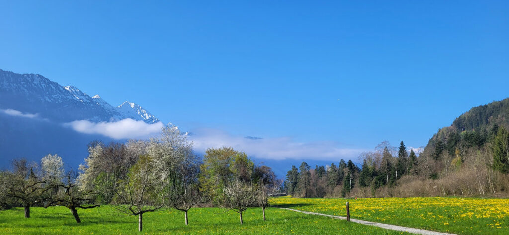 Lazy Rancho Interlaken: 2 Campingplätze mit Jungfrau-Blick 19 Frühlingsaussicht vom Camping Lazy Rancho Interlaken