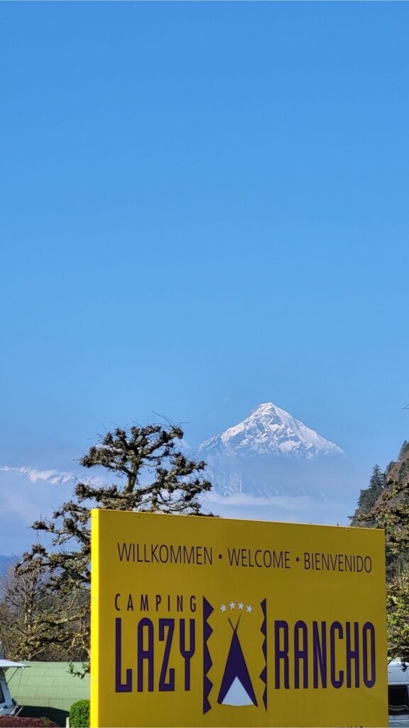 Lazy Rancho Interlaken: 2 Campingplätze mit Jungfrau-Blick 12 Blick auf den Niesen