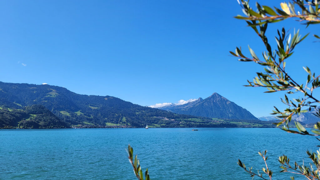 Lazy Rancho Interlaken: 2 Campingplätze mit Jungfrau-Blick 27 Thunersee mit Niesen vom Lazy Rancho aus